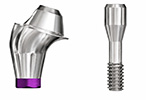 Picture of Multi-Unit Abutments (BlueSkyBio.com)